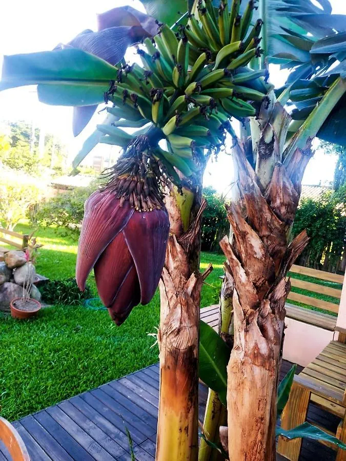 Pousada Kauai Прайя-ду-Роза Мини-отель